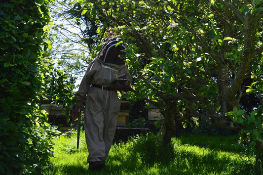 Trish's honey Products with her bees